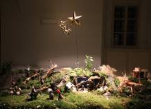 IMG_5640_original