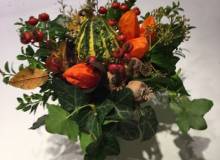 IMG_0474_original