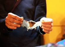 IMG_7581_original